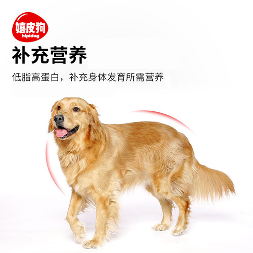 Chicken Baked Milk Flavored Calcium Bones Wholesale Puppy Training Puppy Snacks Pet Teething Food Wholesale