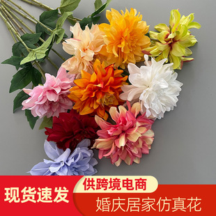 ���W��֧���������滨��c·���zӰ�ٻ��Ҿӿ͏d�b��羳������
