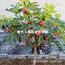 �o���������ļ��ش��҃����ԟo��������Y��ͥԺ�ϱ����Nֲ������