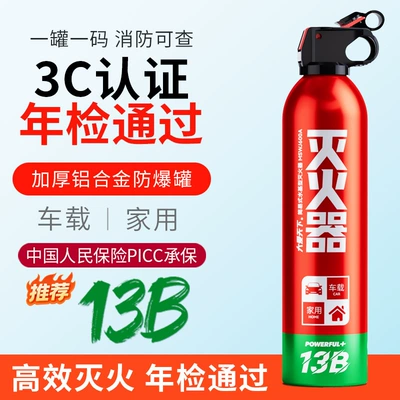 Vehicle Water-based Fire Extinguisher Vehicle-mounted 13B Portable Water-based Fire Extinguisher Vehicle Annual Inspection Vehicle Fire Equipment (Vehicle fire extinguisher) - 13b-large-love-water-based-fire-extinguisher
