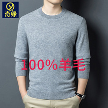 100%纯羊毛濮院羊毛衫2025秋冬新款时尚休闲加厚保暖圆领男士毛衣