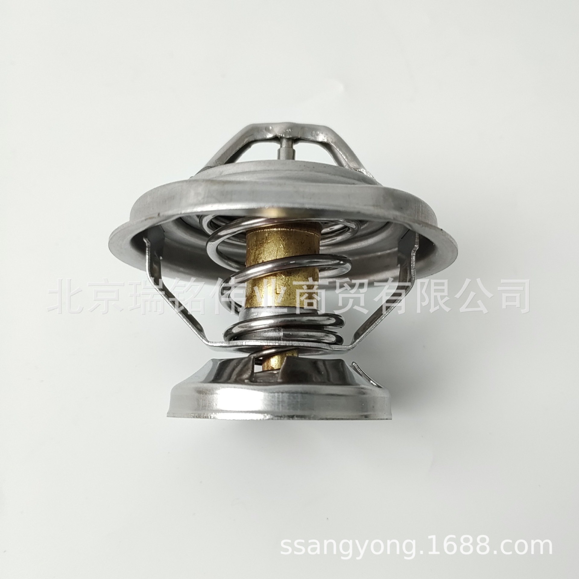 Shuanglong 6062030275 Thermostat for SsangYong Actyon Kyron Rodius Rexton Diesel (Thermostat)