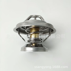 6062030275 Termostat Ssangyong Dizel Aitong Xiangyu Road Emperor Leister üçün uyğundur