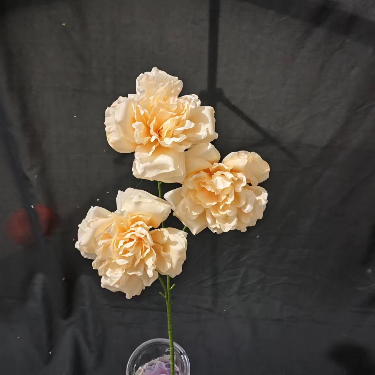 샴페인