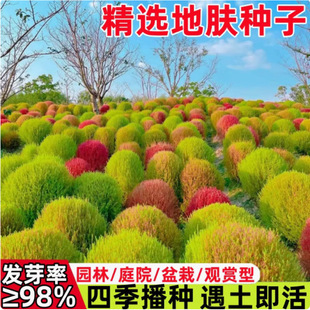 �t���w�N�ӾG���w����ݻ����̨����ֲͥԺֲ���^�~���ܻ��N����