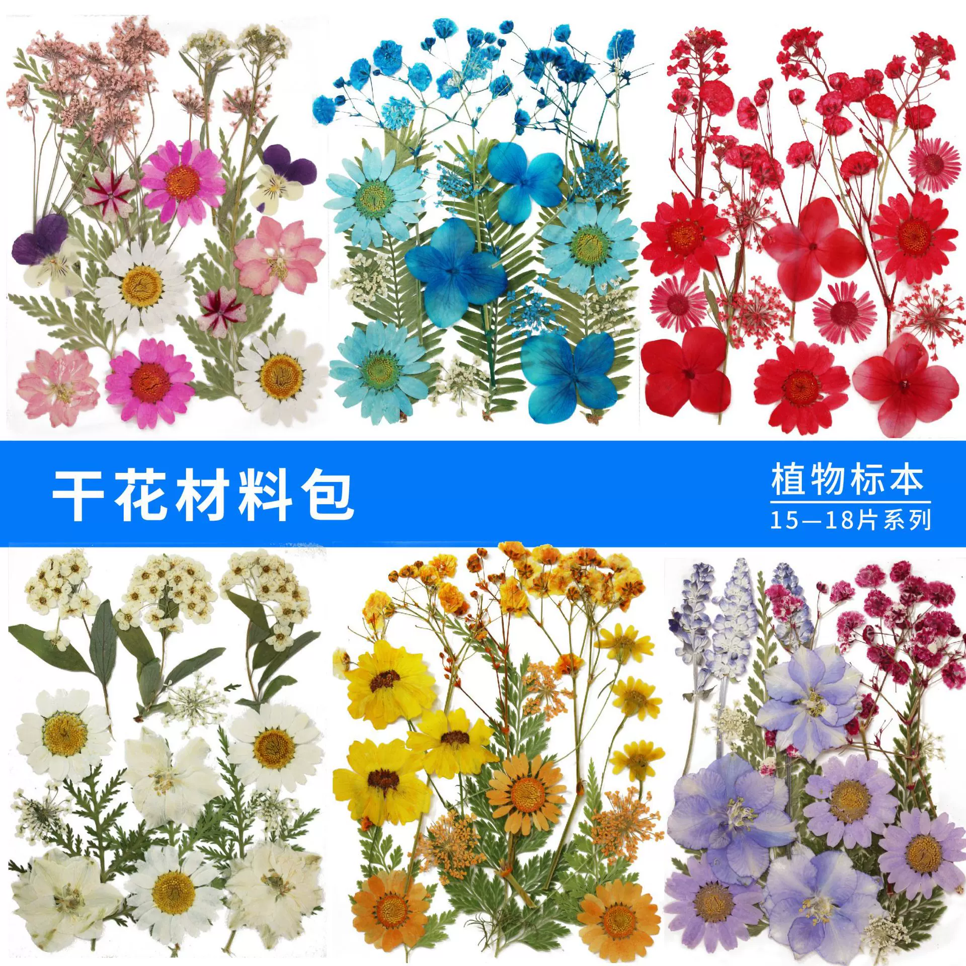 干花压花批发 diy押花相框滴胶干花手机壳植物标本真树叶跨境货源