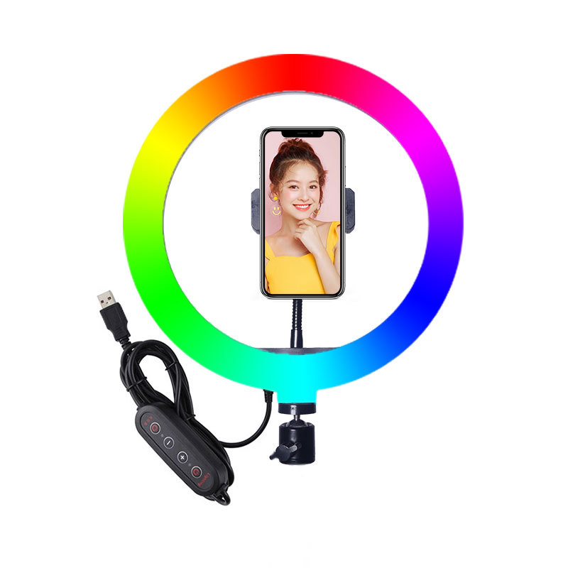 표준 (빛 + PTZ + 휴대 전화 클립)