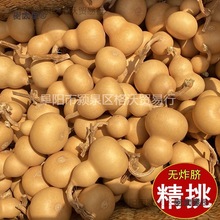 С���Jһ��؛Դ�����^��Ȼ����С����������ؔ����湩������̫��