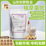 枯草芽孢杆菌 家禽家畜水产养殖用 兽用益生菌 混合型饲料添加剂