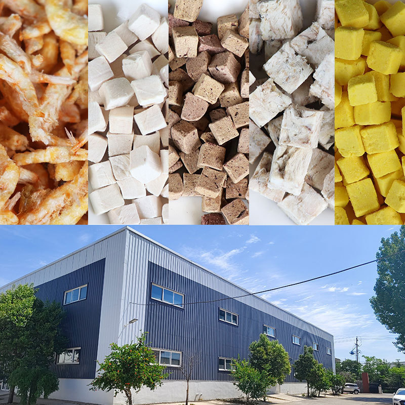 Freeze-Dried Pet Snacks Wholesale Manufacturer Spring Fish and Quail Drop Shipping Dog Snacks Duck Meat Freeze-Dried Cat Snacks