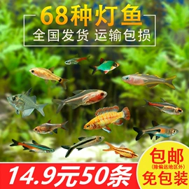 收纳架;衣架;厨房置物架