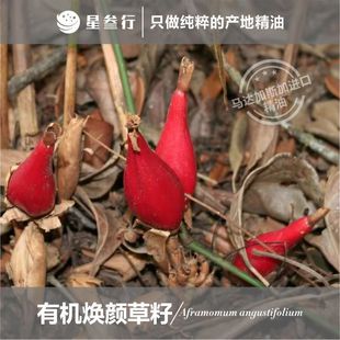 ����Ѿ����R�_��˹���ЙC��݆η�����ֲ��ԭ�����l��޹����