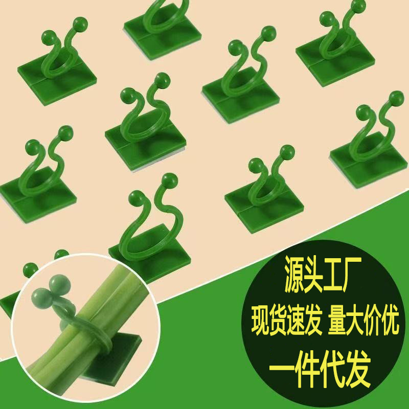 Plant Wall-Mounted Fixer for Outdoor Use, Clip for Climbing Plants Like Pothos and Roses, Branch Traction Adhesive Hook for Walls
