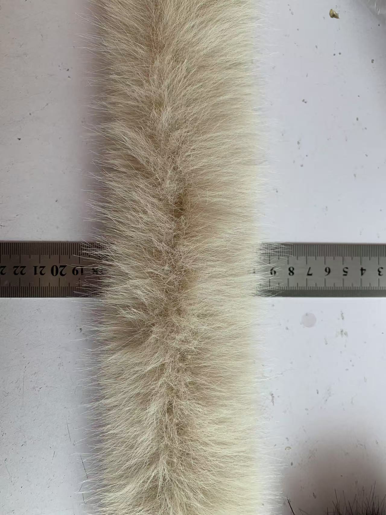 微信图片_20250329204506