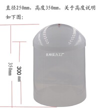 ��͸���~���� 250