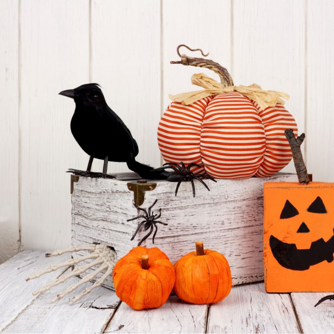 Halloween transfronterizo simulación cuervo negro props Halloween flocado cuervo fantasma decoración props de terror