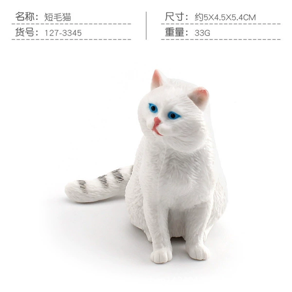 PL127-3345 short hair cat 33g