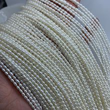 2.5-3���⵭ˮkeshi����ɢ����ƷDIY����Ʒ��Ȼ��ˮ������