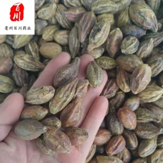 批发诃子中药材柯子诃子肉 品质保障 15天无条件退换