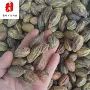 品质中药材