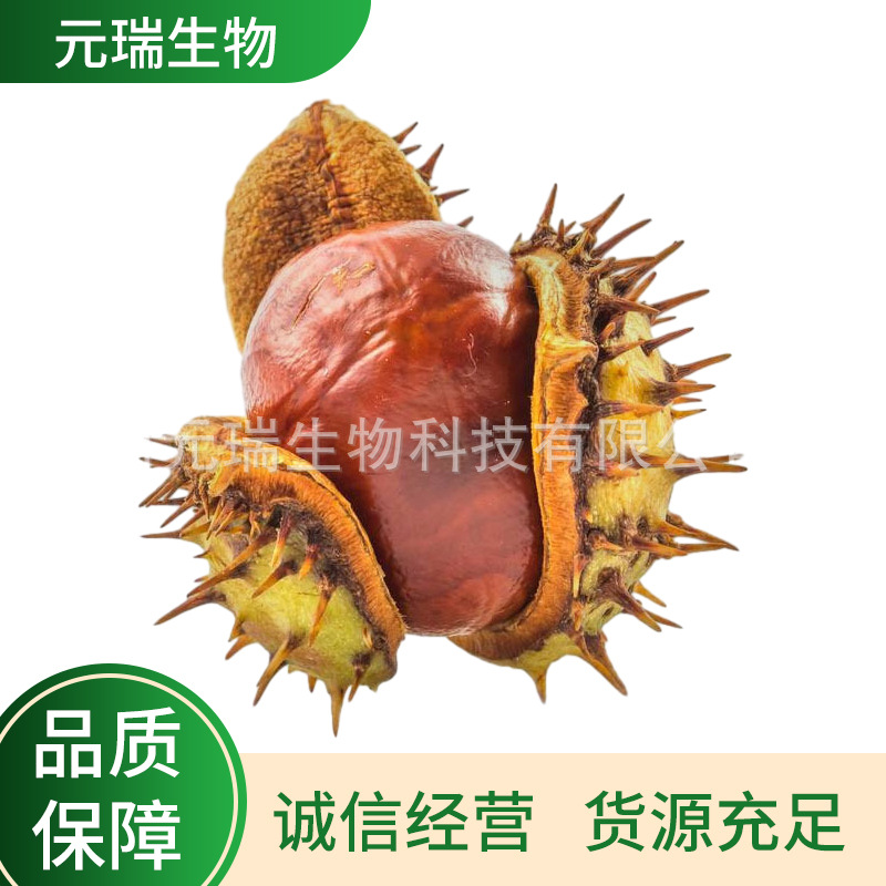 元瑞厂家直供护肤品原料七叶树提取液植物提取液医药七叶树萃取液