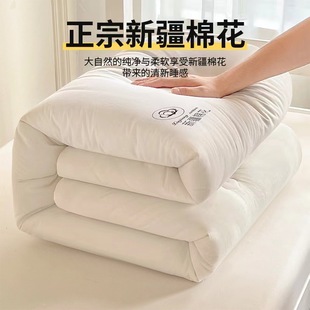 ����2024�¿��޻����Ӽ�����ȫ�ޱ�о�W��������p�˴����ļ�ͨ��