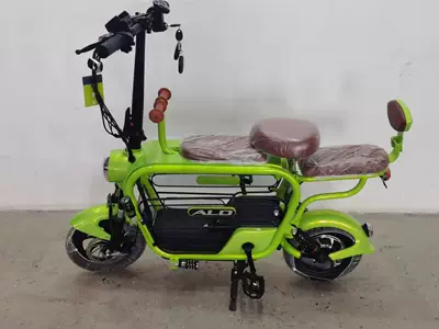 Qatlanan elektrik velosipedlər — Car - pet-naked-car-green