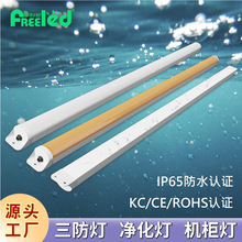 ����ֱ��������ֲ�����������ƾ����Ƶƹ�LED�����������ƹ��
