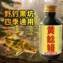 �S�T���S�����T���~���T�_����~Сș�~�D�ϸC���Tʳ���o��s�a��