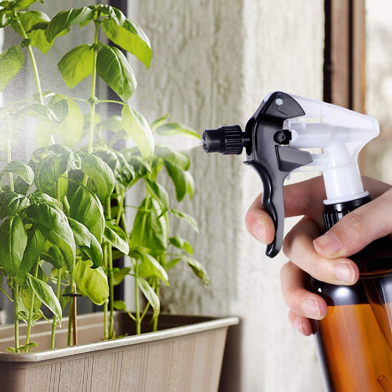 71EBXxmLfLL._AC_SL1200_