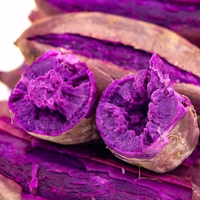 [fresh selected Purple sweet potato Purple sweet potato violet Potato Sweet potato Purple sweet potato Fragrant and sweet 2-9 Jin