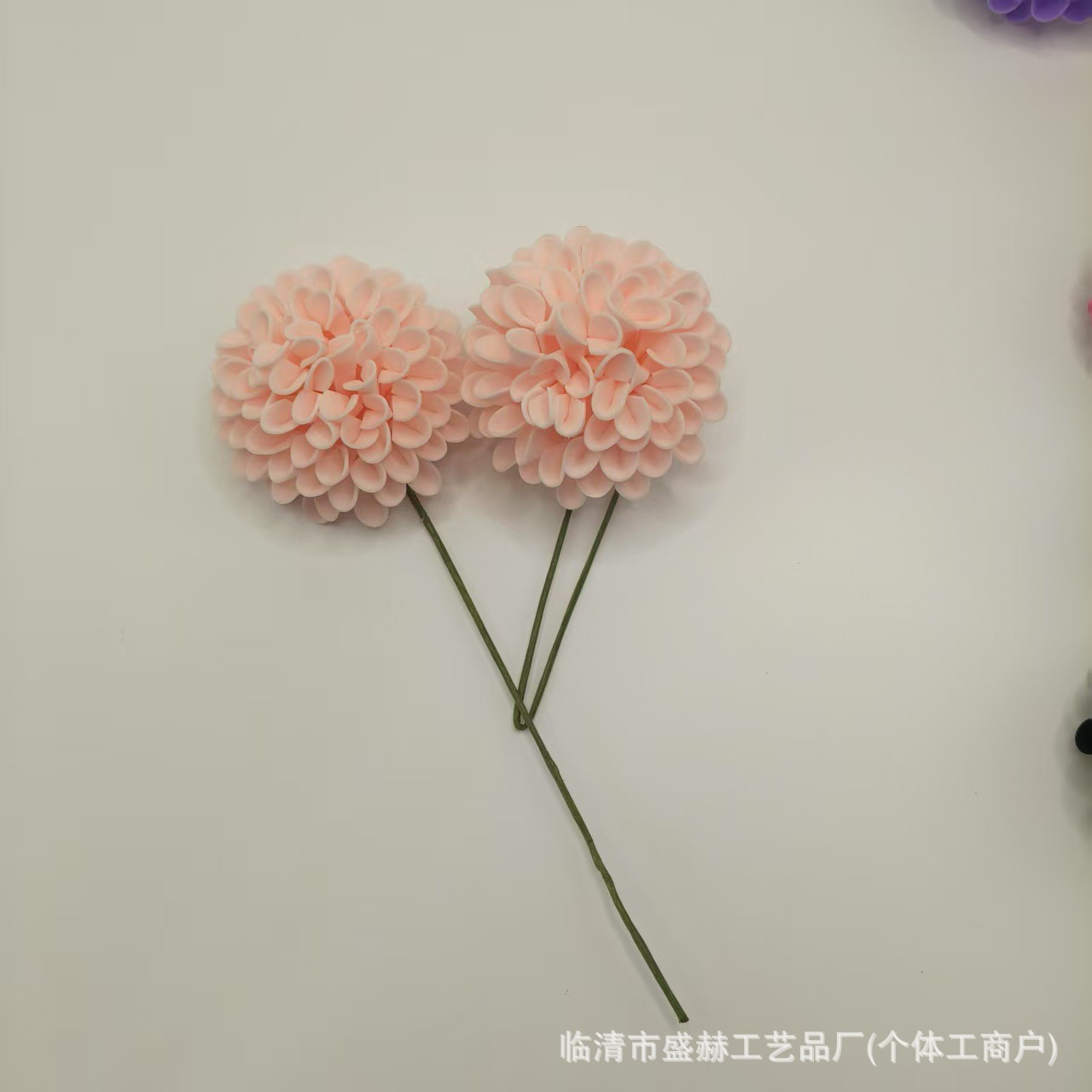 微信图片_20250528114721_124