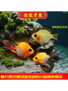 �����~�Ꭷ�^�~�p�~��ˮ�~�P���~���w��ˮС���~�ݸ׿ɻ��B���B