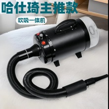 ﴵˮCȮôəCϴəC؈oë