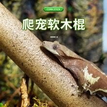 �������������ľ�� R�����˸ǹ��ǽ޽��ع������������������쾰