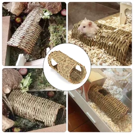 鸟类;鸟笼;兔子