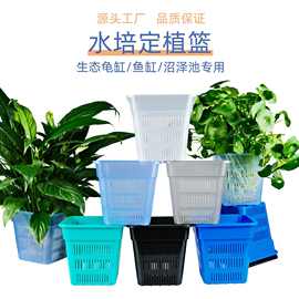 水培定植篮鱼缸龟缸造景水草固定透明塑料植物种植篮水培定植篮