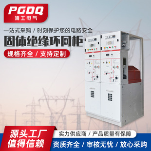 Solid Insulated Ring Network Cabinet High Voltage Switch Insulated Ring Network Cabinet Fully Sealed 10Kv Switchgear Gas-Filled Cabinet Ring Network Box
