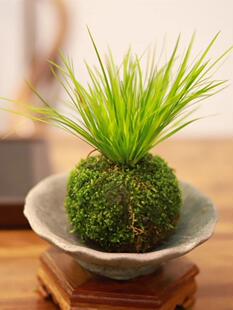 ̦�\����������΢���辰�k���������^�~��Cֲ���ļ�����С�G����