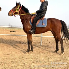 ���R�����ķN�R������܇ �ɹ��R�R�x��Ѫ�R�R�x ��Ѫ�R�R�x�����X