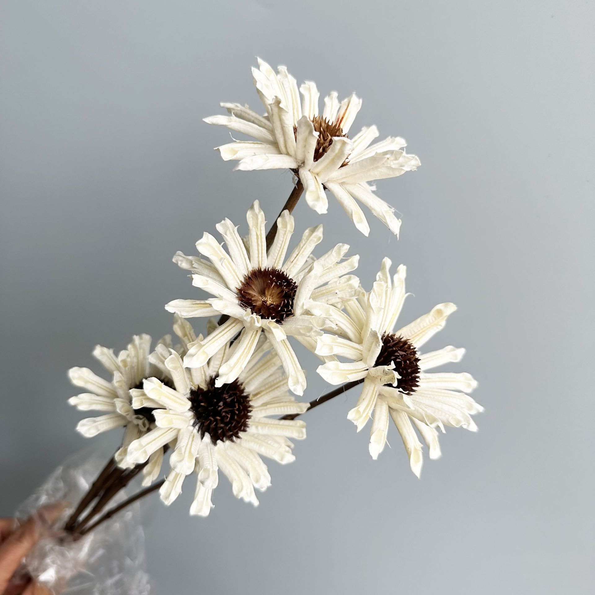 흰색 가지 5개 묶음