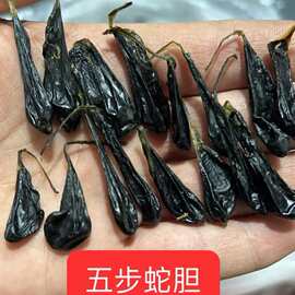 正宗五步蛇胆干中药材蛇胆干 五步龙蛇胆 眼镜蛇胆 蛇胆泡酒料