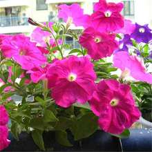 ����ţ�N�ӻ����ļ����N�׷N���҃����̨���Զ�������ɫ�����׷N