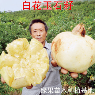 ���hʯ���� �׻���ʯ�� ʯ����� ����ʯ���� �������Ϸ������Nֲ