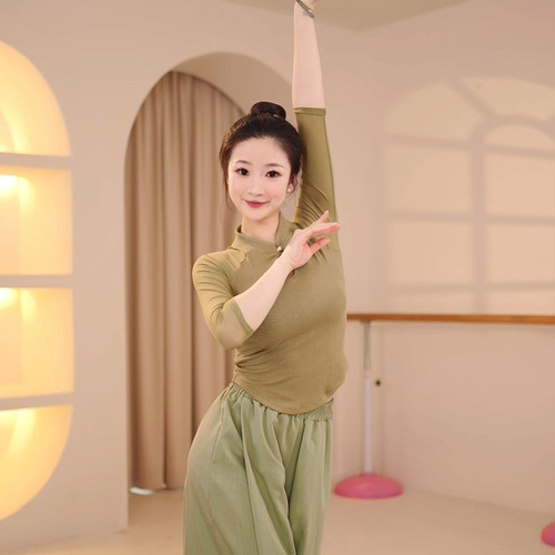 Classical dance clothing for women with spliced ​​gauze sleeves, spring and summer new slim-fitting tops, Chinese dance retro practice clothing, ancient style clothing