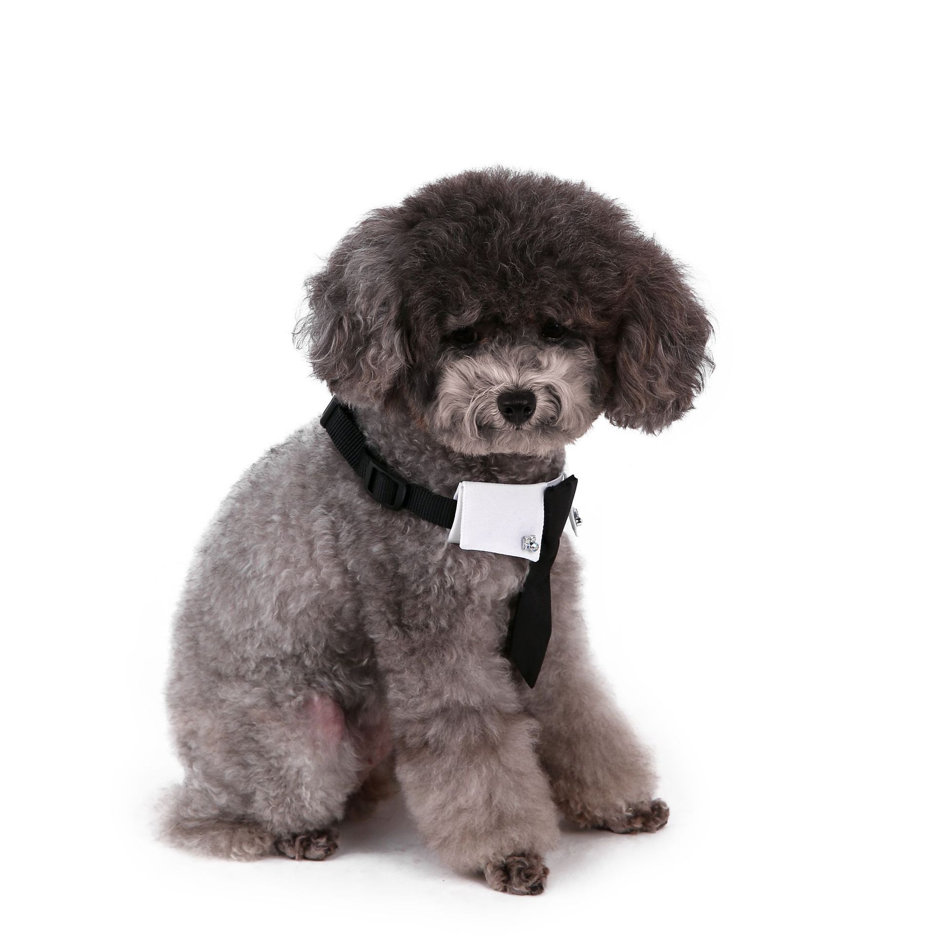 Perro transfronterizo estilo británico guapo traje de boda ropa de perro corbata collar decoración al por mayor