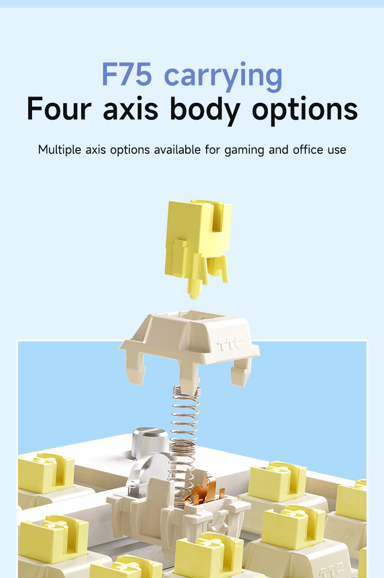 Tastiera meccanica personalizzata AULA Tarantula F75 Wireless Bluetooth 2.4 Il terzo esame simulato Full Key Hot Plug_voghion.com