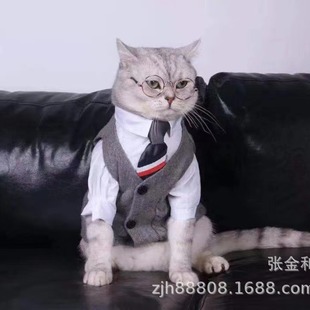 Pet glasses Source manufacturers 8cm pet sunglasses puppy glasses kitten round glasses doll glasses