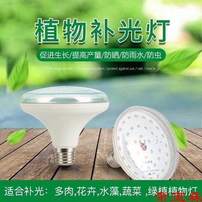 LED Plant Lights Sunlight pitaya Chrysanthemum strawberry grow seedlings orchid Green plant fill-in light Chinese rose