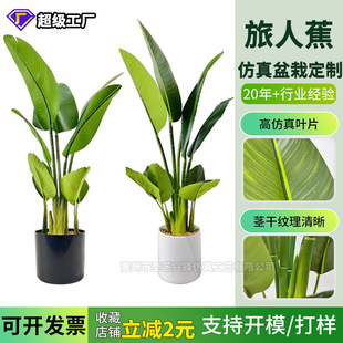 Ƽ٘쾰b˽~ƬGֲ˽㽶